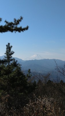 ◆城山山頂から富士山がきれいに見えた◆