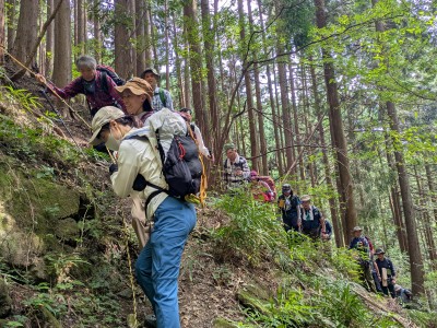 g[vŐTdɁi1l͏ΊŁj遟