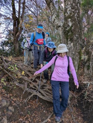 ���؂̍�������������͐T�d�Ɂ�