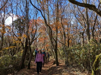 ���F�Â����؁X�Ɛ���̃R���g���X�g��