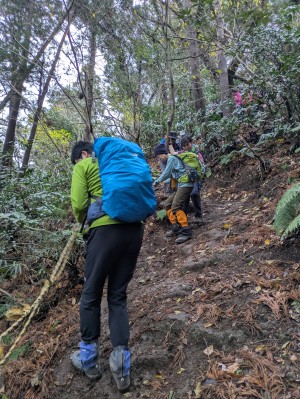 ������q�R����̋}�ȃ��[�v���T�d�ɉ��遟