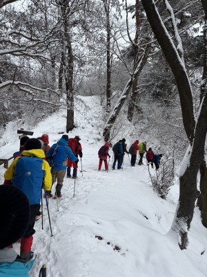 ���ᒆ�s�R�I�f�攪�b�c�R�̘b�����Ȃ��灟